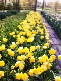 プレゼント！詳細版　ダイエットモニターレポート　A・Mさん